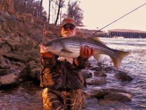 Rock Fish 30 inches