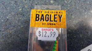 Sarges Bait and Tackle Chesapeake Bay Fishing Report