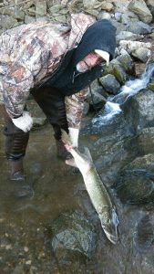 Sarges Bait and Tackle Chesapeake Bay Fishing Report