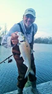 Sarges Bait and Tackle Chesapeake Bay Fishing Report - Shad