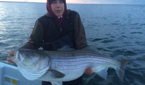Sarge's Bait and Tackle Chesapeake Bay Fishing Report - Striper