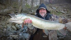 Sarges Bait and Tackle Chesapeake Bay Fishing Report