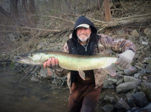 Sarges Bait and Tackle Chesapeake Bay Fishing Report