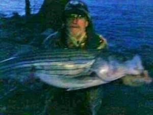 Sarges Bait and Tackle Chesapeake Bay Fishing - Striper
