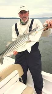Sarges Bait and Tackle Chesapeake Bay Fishing Report - Striper