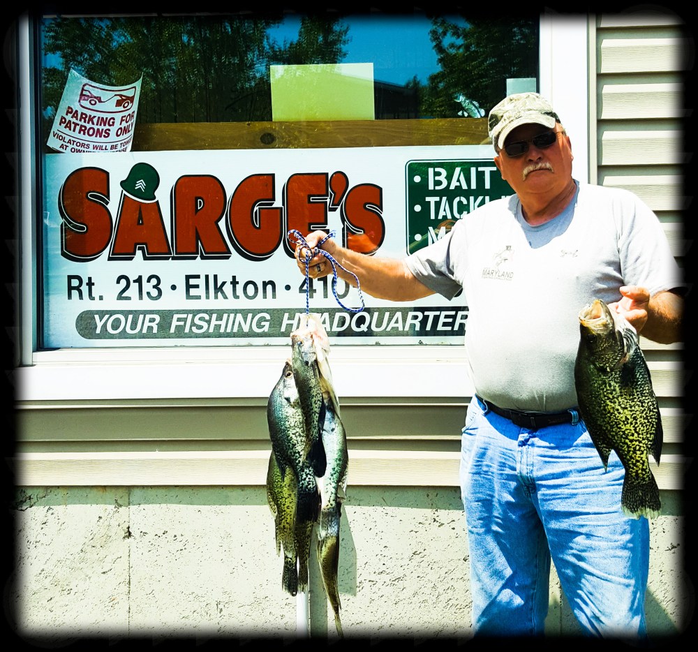 Sarges Bait and Tackl Chesapeake Bay Fishing Report - Crappie