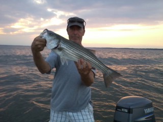 WORTON ROCKFISH 8