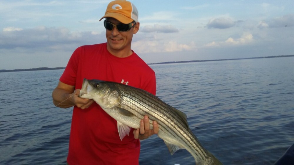 Chester River Rock 6.jpg