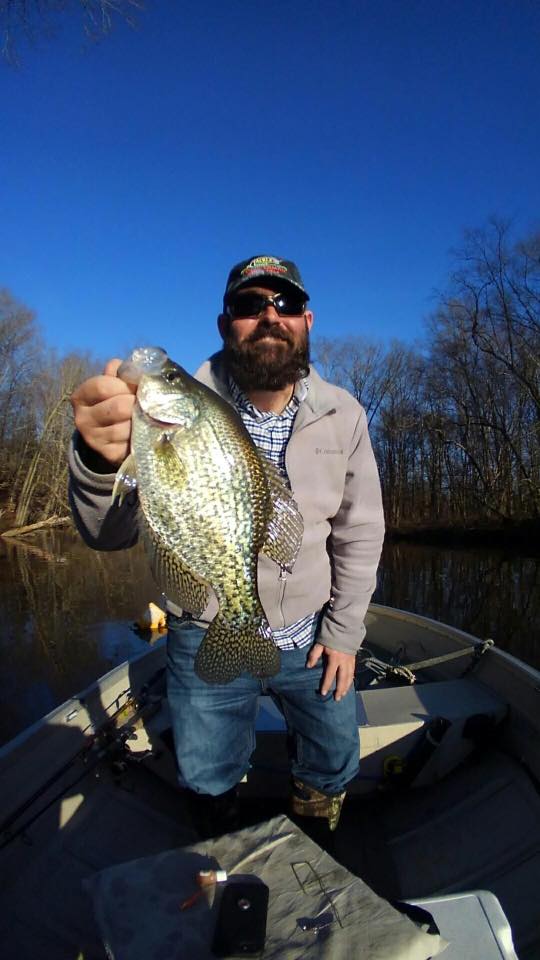 crappie-8