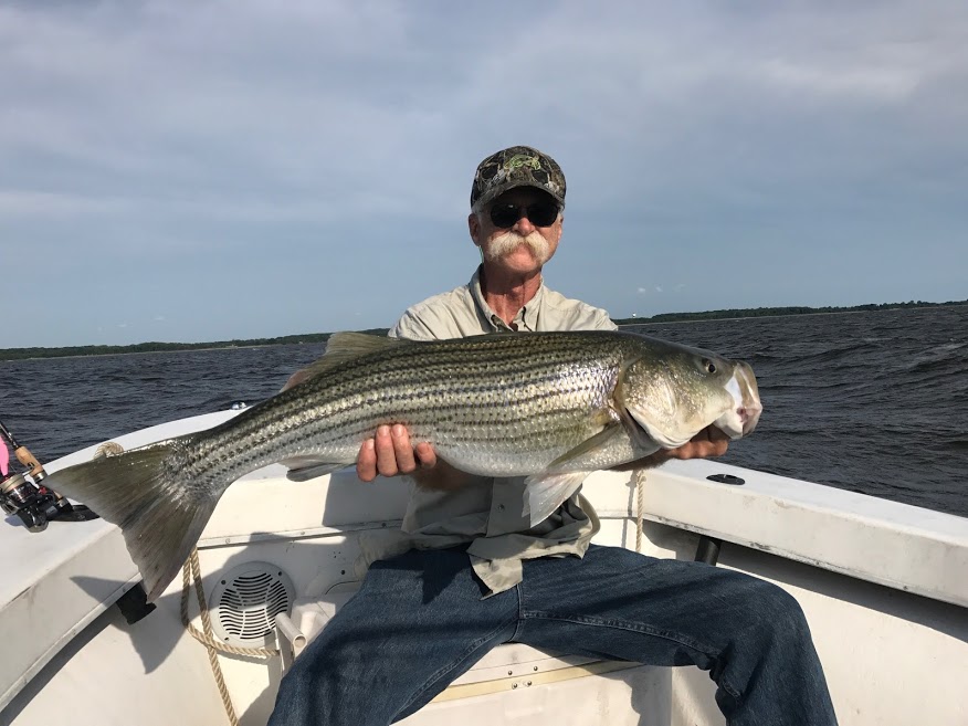 Mid Bay Rockfish 25
