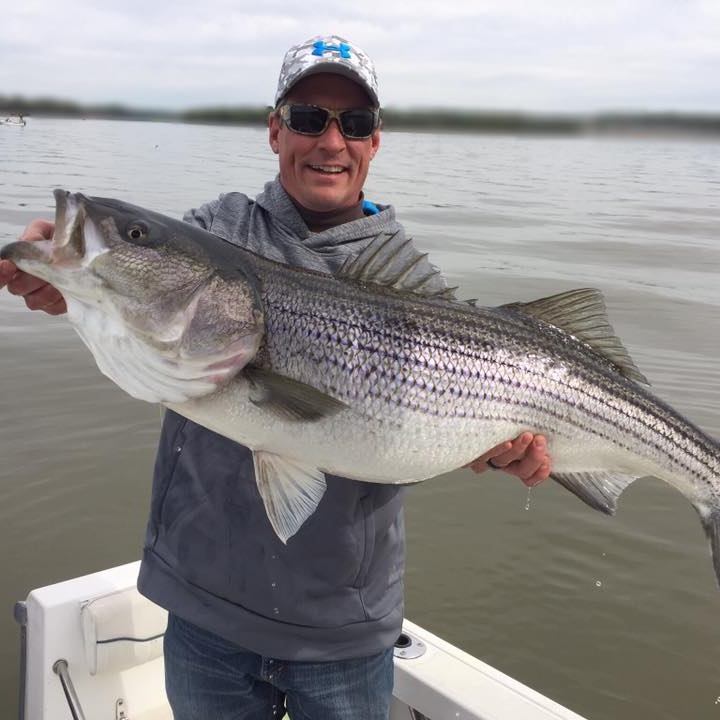 Upper Bay Rockfish 4