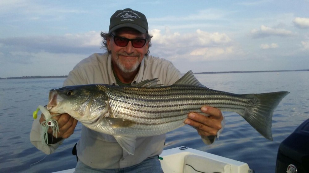 Chester River Rock 4