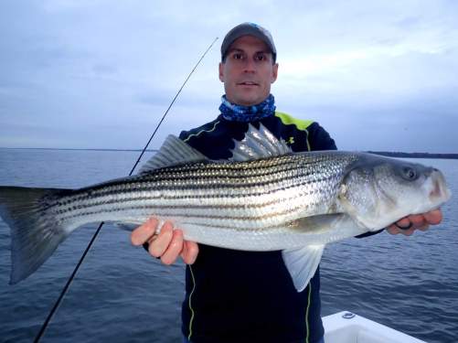November Rockfish 22