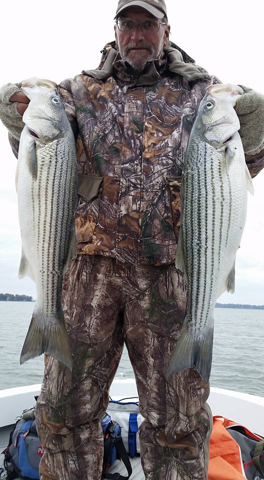 November Rockfish 30