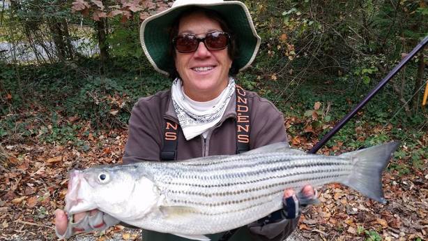 November Rockfish 33