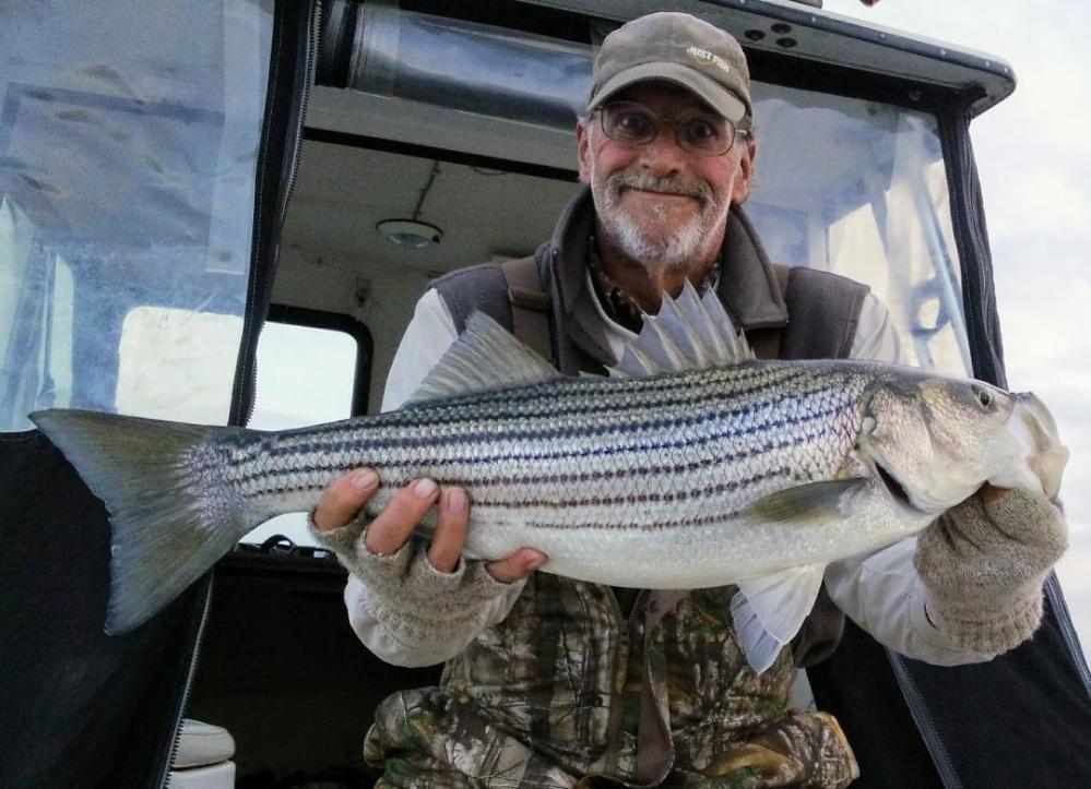 November Rockfish 38