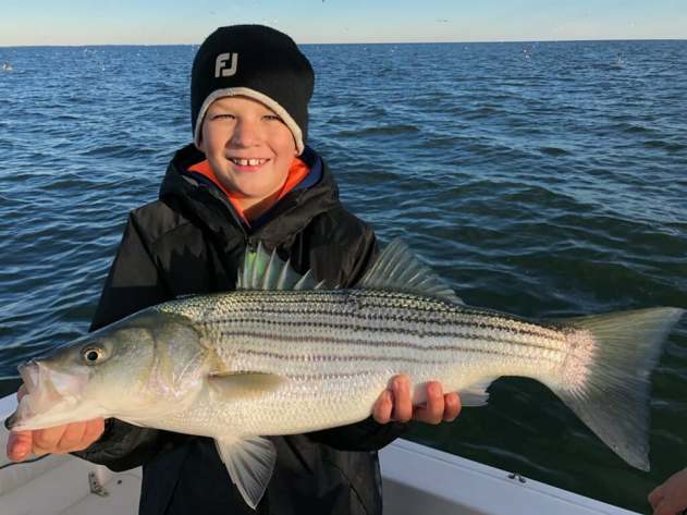 November Rockfish 27