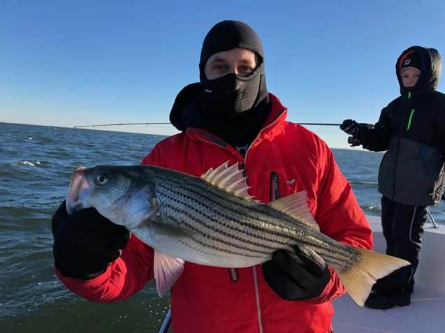 November Rockfish 39