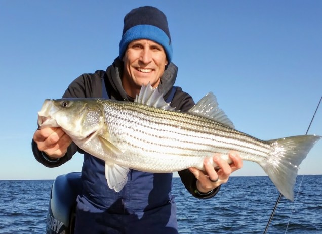 November Rockfish 42