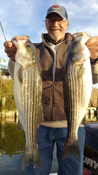 November Rockfish 45