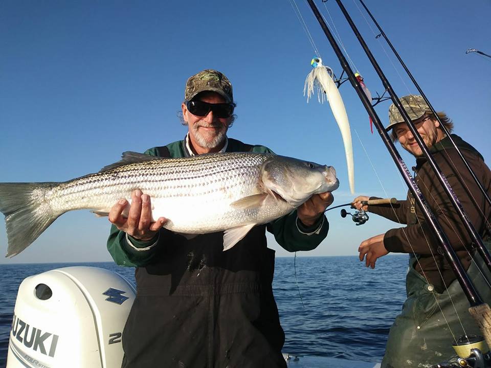 November Rockfish 46