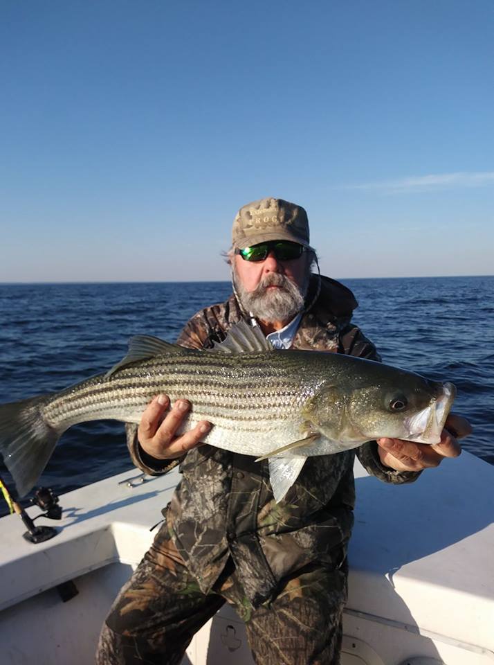 November Rockfish 48