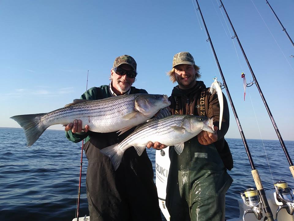 November Rockfish 49