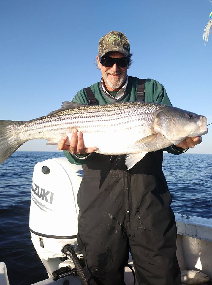 November Rockfish 50